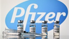 Pfizer nâng dự báo doanh thu từ bán vaccine ngừa COVID-19