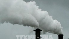 EU đạt thỏa thuận quan trọng về thị trường carbon