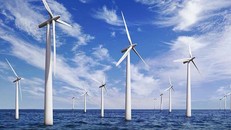 Giúp cá heo tránh bị tổn thương tại các địa điểm xây dựng trang trại điện gió ngoài khơi