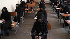 Taliban hạn chế nữ sinh Afghanistan thi đại học