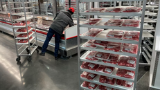 Mỹ phạt công ty sử dụng bất hợp pháp lao động trẻ em