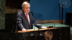 Tổng thư ký LHQ kêu gọi nỗ lực bảo vệ thiên nhiên hoang dã