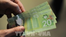 Người dân Canada vẫn chìm trong khó khăn tài chính