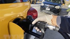 EU tiến tới nhất trí về lệnh cấm xe hơi sử dụng nhiên liệu hóa thạch