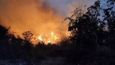 Thái Lan nỗ lực khống chế cháy rừng gần thủ đô Bangkok