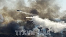 Tây Ban Nha kiểm soát tình trạng cháy rừng