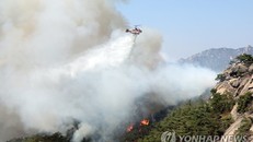 Tổng thống Hàn Quốc chỉ thị huy động mọi nguồn lực dập tắt cháy rừng