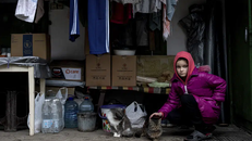 Bạn bè đều đã đi di tản, cô bé Khrystyna Ksenofontova chỉ còn lũ mèo là bạn. Ảnh: AP