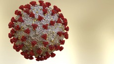 Nga ghi nhận trường hợp nhiễm biến thể dạng nhẹ của COVID-19