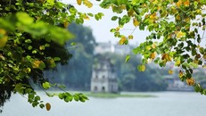 Đông Bắc Bộ và Bắc Trung Bộ trời chuyển mát