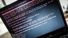 Nhật Bản ghi nhận số vụ tấn công mạng gia tăng trước thềm Hội nghị thượng đỉnh G7