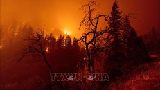 California đối mặt với mùa cháy rừng vài tuần sau đợt tuyết rơi và mưa lớn