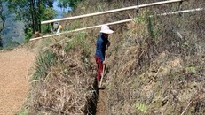 Hạn hán kéo dài, người dân vùng cao Lào Cai gặp nhiều khó khăn