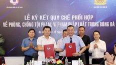 Nâng cao hiệu quả phòng, chống tội phạm trong bóng đá