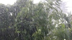 Vùng núi Bắc Bộ có mưa to, có nơi mưa rất to