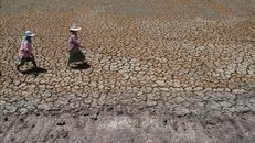 Thái Lan: Tình trạng khô hạn có thể kéo dài sang năm 2024