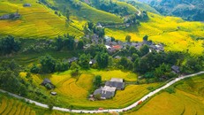 Ngỡ ngàng trước vẻ đẹp tựa tranh vẽ của ruộng bậc thang Sa Pa