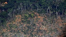 Brazil tăng cường hoạt động phòng, chống tội phạm tại Amazon