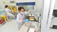 Thành lập ngân hàng huyết thanh tại TP HCM