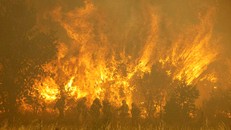 Canada: Tỉnh bang British Columbia tuyên bố tình trạng khẩn cấp vì cháy rừng