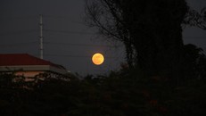 Cơ hội chiêm ngưỡng 'trăng xanh' vào ngày 31/8