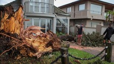 New Zealand công bố công cụ hỗ trợ ứng phó khẩn cấp đối với động đất