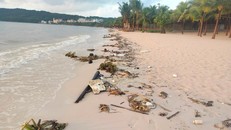 Những bãi biển ngập bèo, rong rêu, rác thải do gió mùa mang đến. 