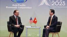 Chủ tịch nước Võ Văn Thưởng tiếp Thủ tướng Malaysia nhân dịp dự Tuần lễ Cấp cao APEC 2023