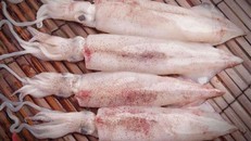 Hàn Quốc tăng nguồn cung thủy sản để giảm lạm phát