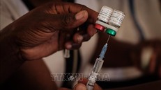 WHO cảnh báo nguy cơ biến đổi khí hậu làm đảo ngược nỗ lực chống bệnh sốt rét toàn cầu