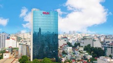 ĐHĐCĐ GEE thông qua việc đổi tên thành Công ty cổ phần Điện lực Gelex