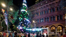 Australia khuyến cáo người dân về an toàn giao thông trong dịp Giáng sinh