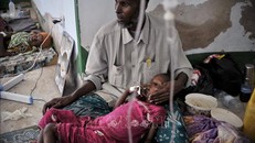 WHO tăng cường hỗ trợ Somalia ứng phó với bệnh tả ​