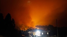 Chile ban bố tình trạng khẩn cấp do cháy rừng