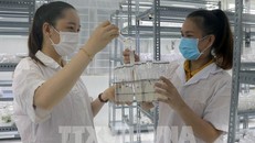 Năm 2024 - Năm “tăng tốc, bứt phá” của ngành Khoa học và Công nghệ