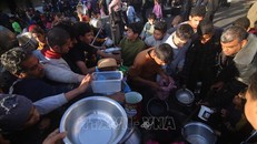 WHO báo động tình trạng trẻ sơ sinh tử vong ở Dải Gaza