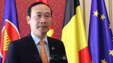 Hội Sinh Viên Việt Nam tại Bỉ gắn kết và phát triển