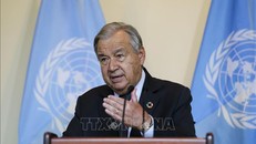 Tổng thư ký LHQ kêu gọi ngừng bắn ngay lập tức tại Gaza