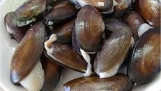 Malaysia: Nhiều ca ngộ độc thực phẩm do ăn trai