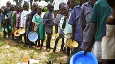 Khan hiếm nước đe dọa ngành nông nghiệp và an ninh lương thực ở Nam Phi