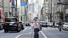 Hơn 40% số người Nhật Bản sống ở nước ngoài cảm thấy cô đơn