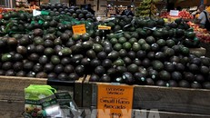 Mỹ cấm nhập quả bơ từ Mexico sau vụ hành hung thanh tra nông nghiệp