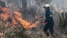 Cháy rừng vượt tầm kiểm soát tại Hy Lạp