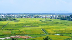 Quy định mới về bồi thường, hỗ trợ, tái định cư khi Nhà nước thu hồi đất​