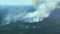 Cháy rừng khiến gần chục nghìn người phải sơ tán ở tỉnh phía Đông Canada