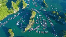 Vịnh Hạ Long - Quần đảo Cát Bà được công nhận là Di sản Địa chất Quốc tế