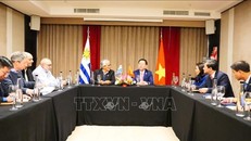 Củng cố và tăng cường quan hệ Việt Nam - Argentina