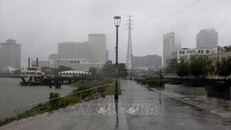 Nhiệt độ nước biển tăng làm bão Francine mạnh lên