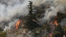 Cháy rừng bất thường ở New York​