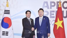 Chủ tịch nước Lương Cường hội kiến Tổng thống Hàn Quốc nhân dịp dự Tuần lễ Cấp cao APEC 2024